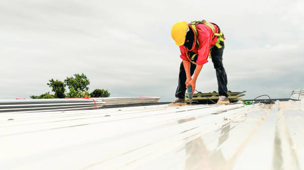 Best Slate Roofing  in Chipley, FL