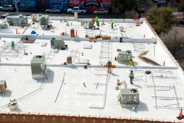 Best Roof Maintenance and Cleaning  in Chipley, FL